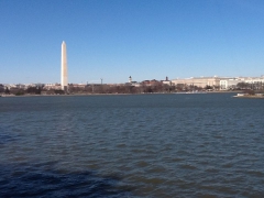 Водохранилище, регулирующее уровень реки Потомак, очень украшает центр Вашингтона
