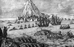 Охота на китов. Гравюра XIX века